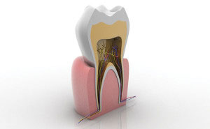 San Ramon, CA endodontist Dr. Mohammad Khandaqji, DDS is a dentist who have specialized in this field